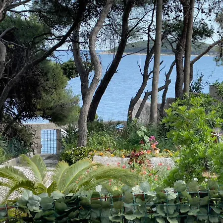 Residences Caroline דירה *